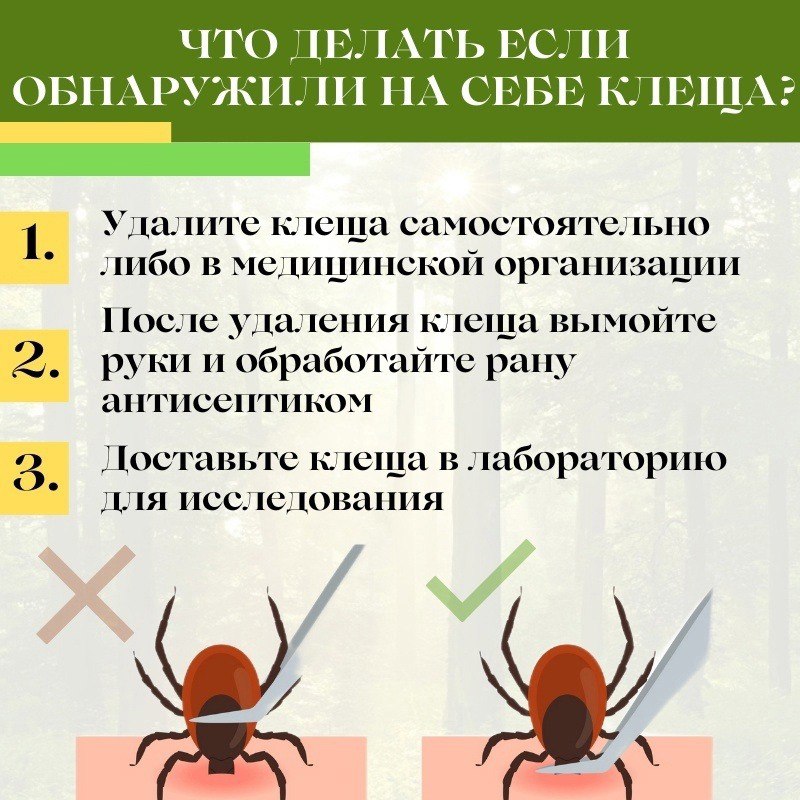 96c9bb07-ed26-4c2d-bf15-75557a780cb2.jpg