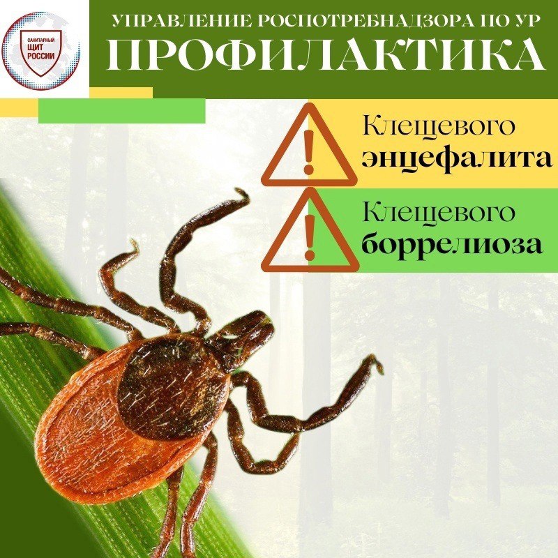 d54a2b2b-40c8-40d1-b2d2-c49d3552e596.jpg