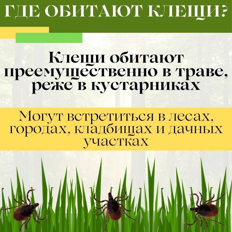 c36c0be7-b3bd-4e67-bfcc-9b3622d0c1fa.jpg