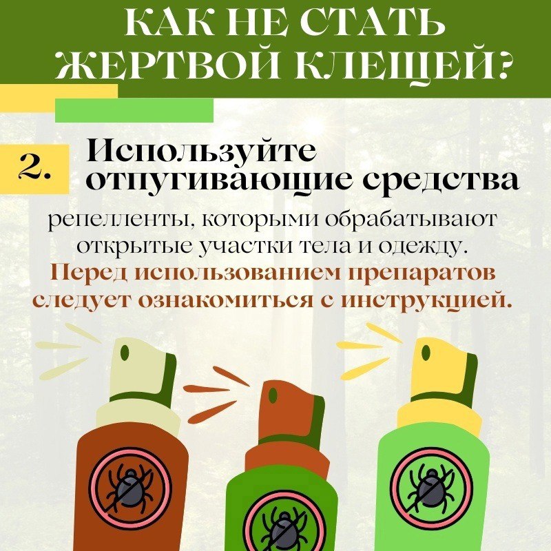 fe2d2d8c-7858-4c0a-adab-5b5e4212d477.jpg